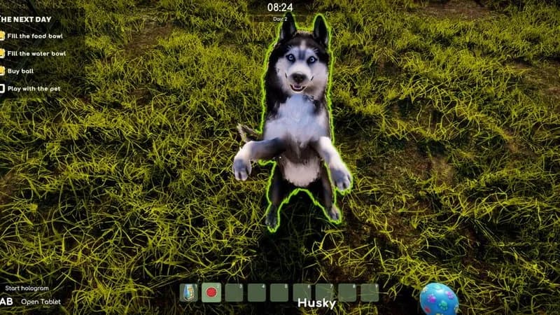 Animal Shelter 2 gameplay screenshot 3