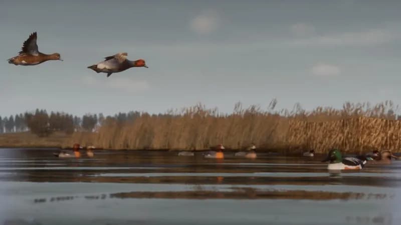 BULT: Hunting simulator gameplay screenshot 1