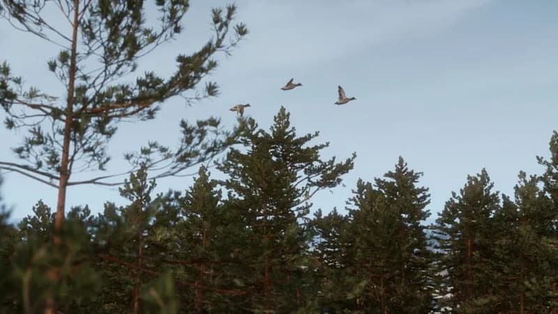 BULT: Hunting simulator gameplay screenshot 4