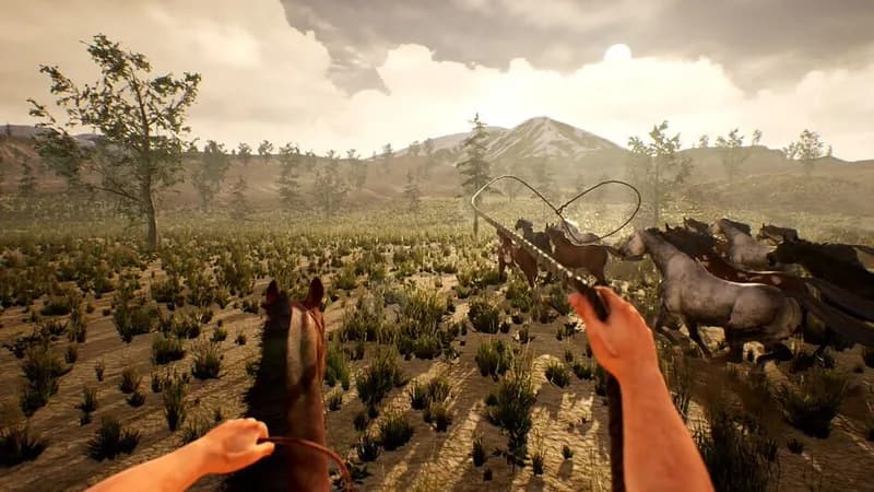 Cowboy Life Simulator gameplay screenshot 2