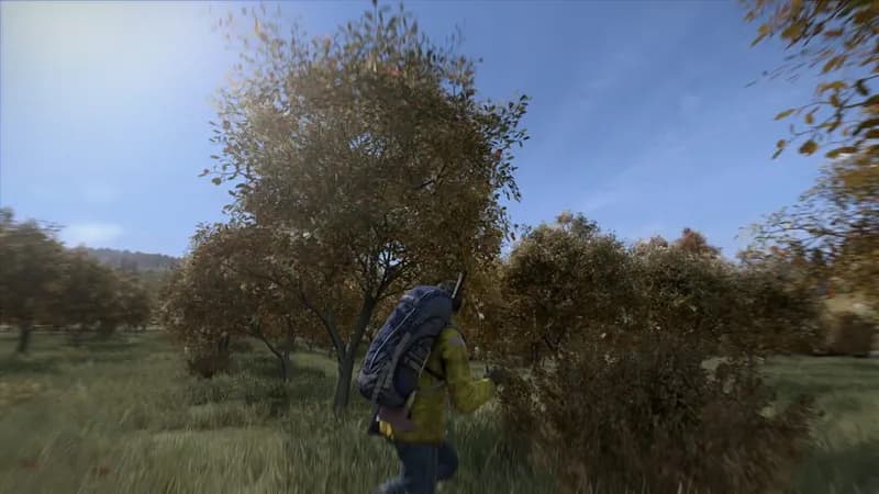 DayZ gameplay screenshot 2