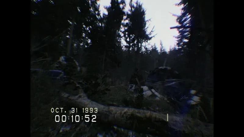 DON'T SCREAM gameplay screenshot 3