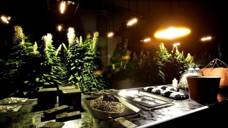 Drug Dealer Simulator 2 gameplay screenshot 3