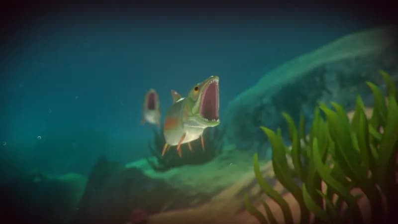 Feed and Grow: Fish gameplay screenshot 4