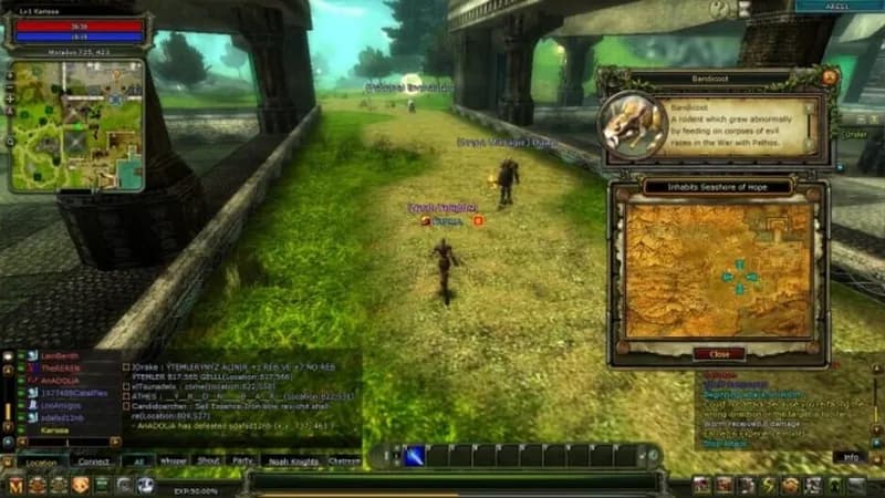 Knight Online gameplay screenshot 3