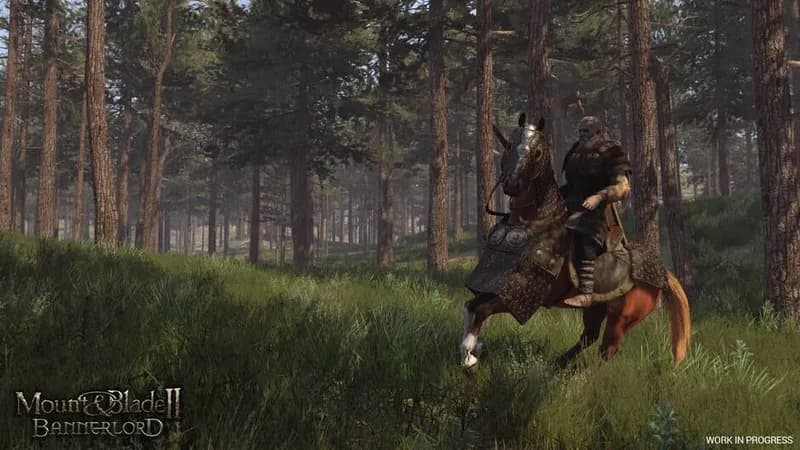 Mount & Blade II: Bannerlord gameplay screenshot 3