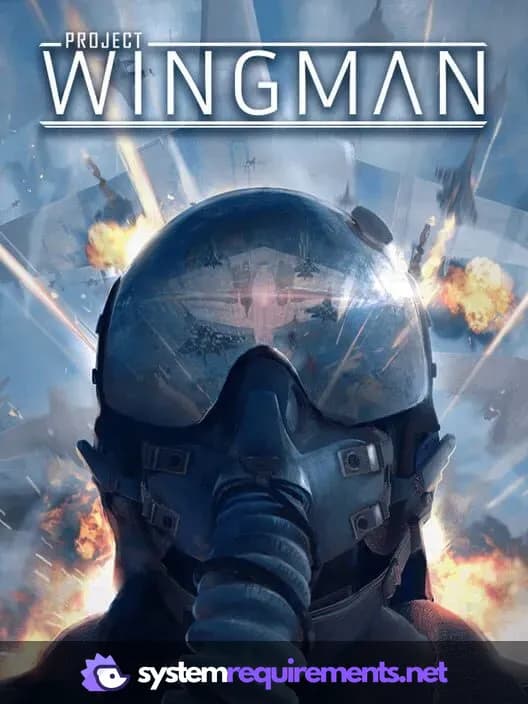 Project Wingman PC game cover art