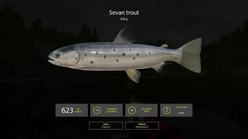 Russian Fishing 4 gameplay screenshot 4