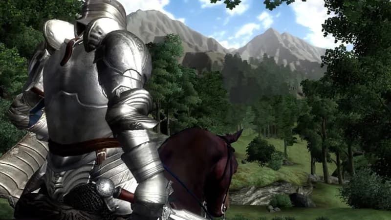 The Elder Scrolls IV: Oblivion Game of the Year Edition Deluxe (2009) gameplay screenshot 3