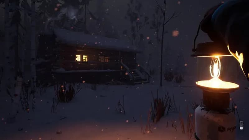 The Long Dark gameplay screenshot 4