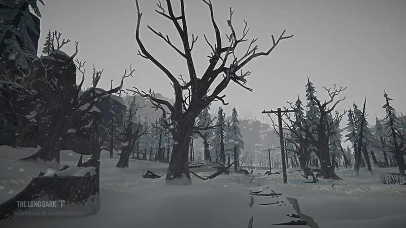 The Long Dark: Tales from the Far Territory gameplay screenshot 3