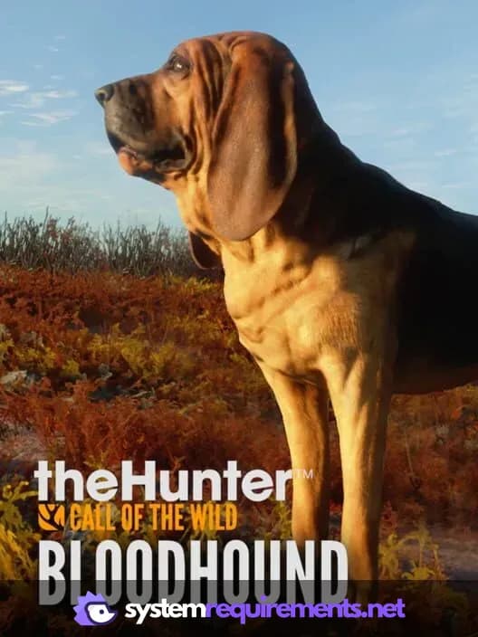 theHunter: Call of the Wild - Bloodhound PC game cover art