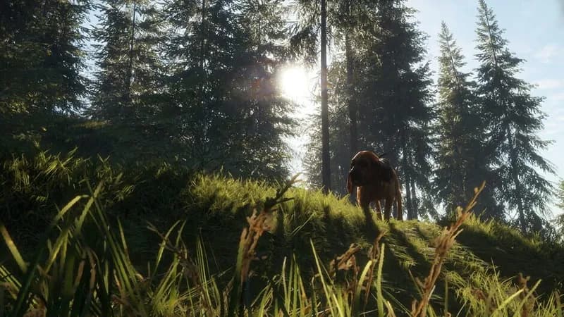 theHunter: Call of the Wild - Bloodhound gameplay screenshot 2