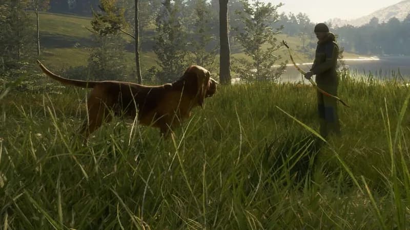 theHunter: Call of the Wild - Bloodhound gameplay screenshot 3