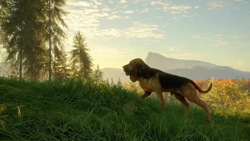 theHunter: Call of the Wild - Bloodhound gameplay screenshot 4