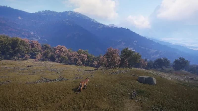 theHunter: Call of the Wild - Sundarpatan Nepal Hunting Reserve gameplay screenshot 4