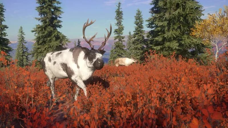 theHunter: Call of the Wild - Yukon Valley gameplay screenshot 1