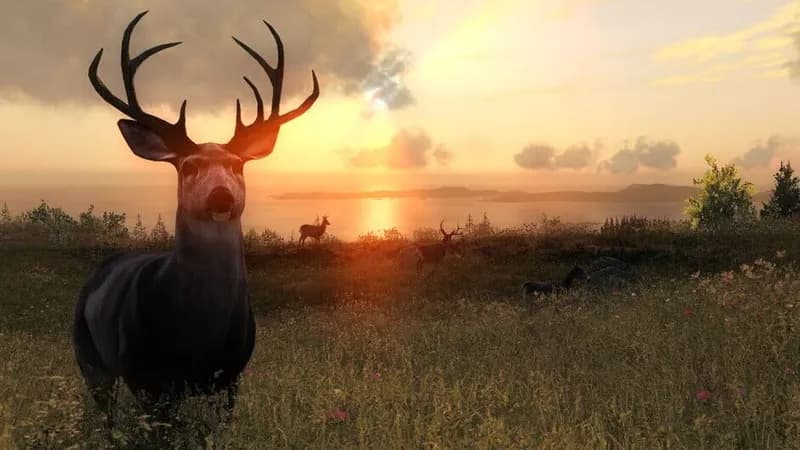 theHunter Classic gameplay screenshot 3