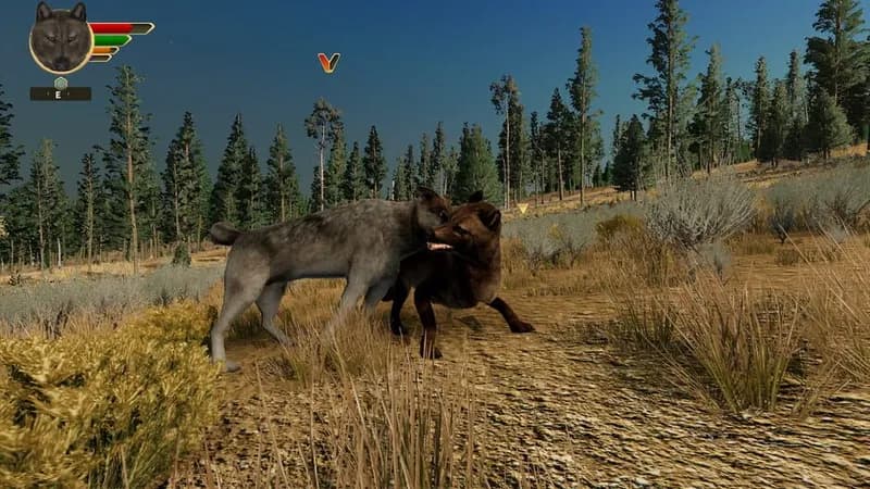 WolfQuest: Anniversary Edition gameplay screenshot 1