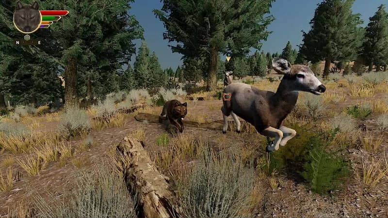 WolfQuest: Anniversary Edition gameplay screenshot 3