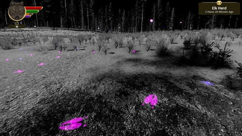 WolfQuest Anniversary - Tower Fall gameplay screenshot 2