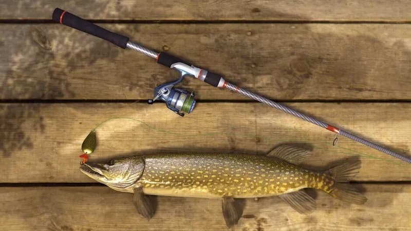 Fishing Planet: Nordic Legend Pack gameplay screenshot 4