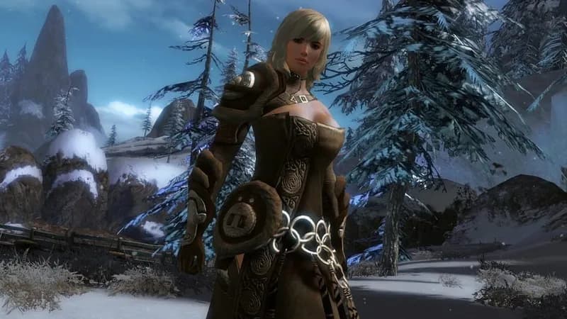Guild Wars 2 gameplay screenshot 2