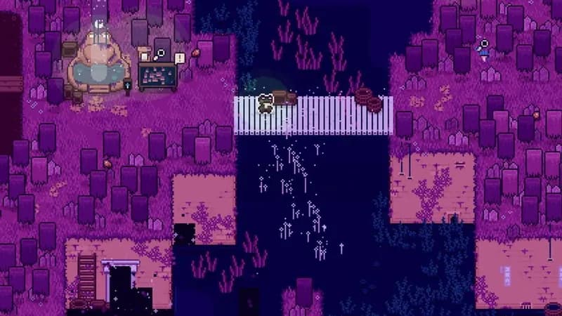 Mudborne: Frog Management Sim gameplay screenshot 3